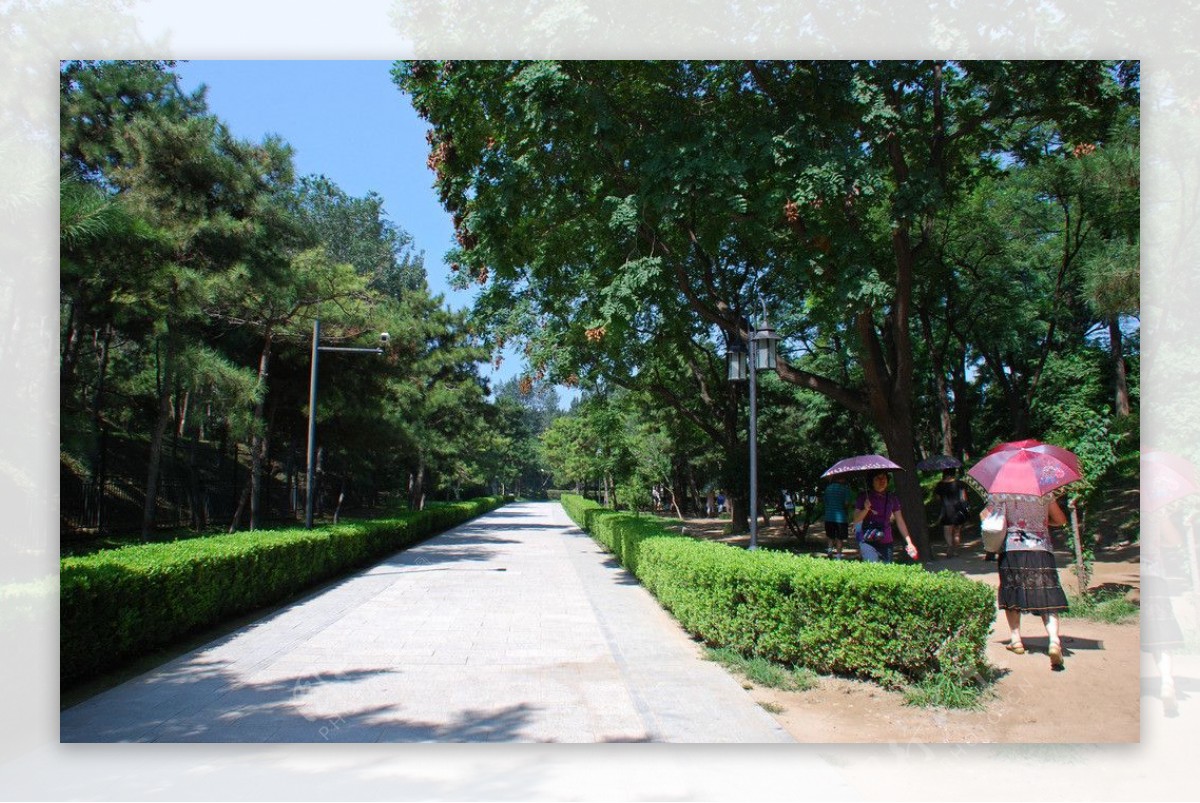 圆明园夏天风景图片