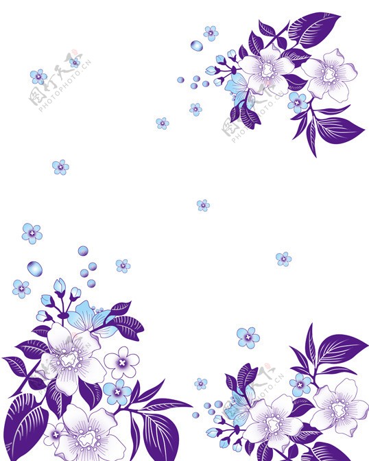 淡紫幽香图片