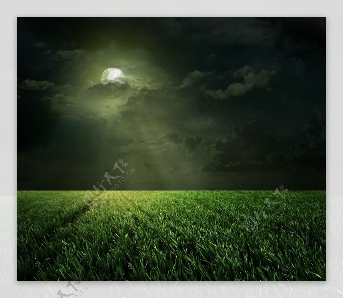 月光草原图片