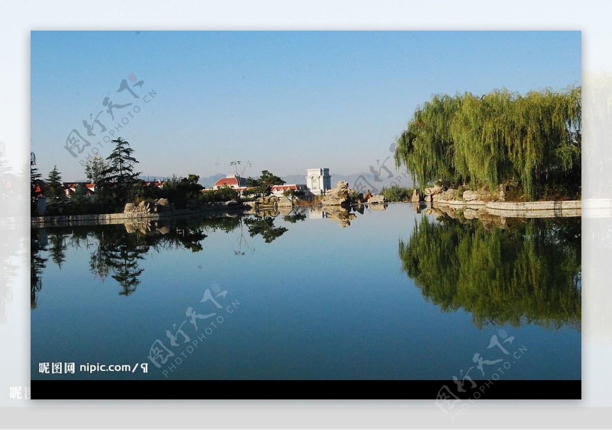 垂柳湖面蓝天图片