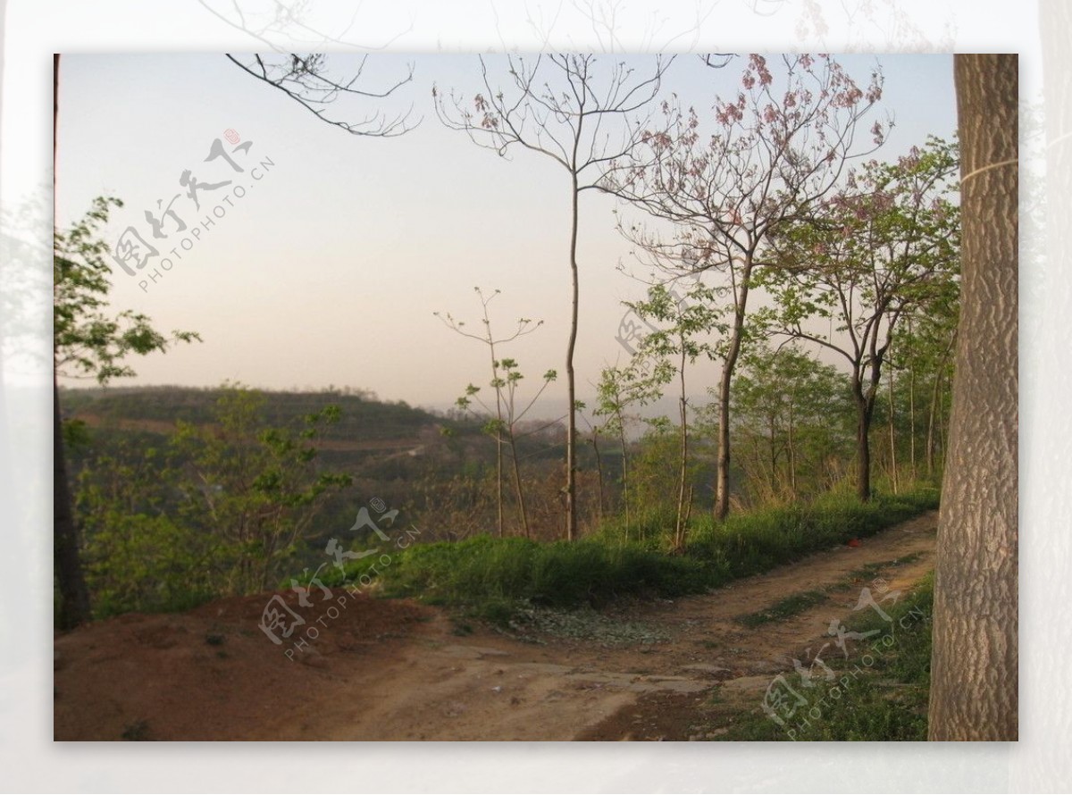 田间小路景观图片