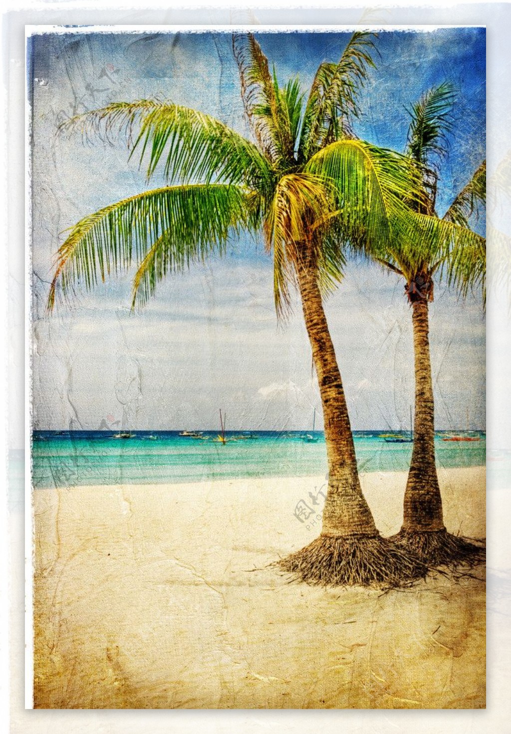 热带树木棕榈树图片