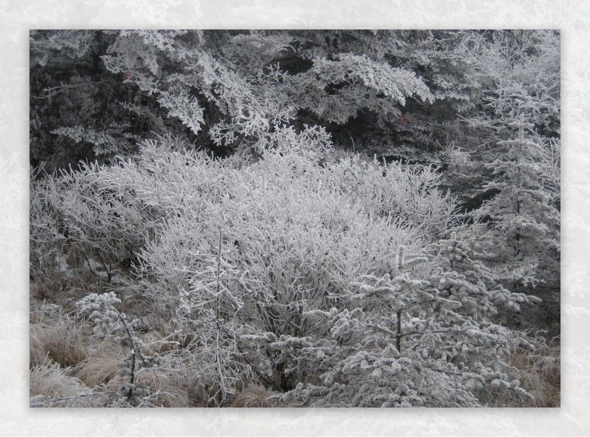 峨眉山雪景图片