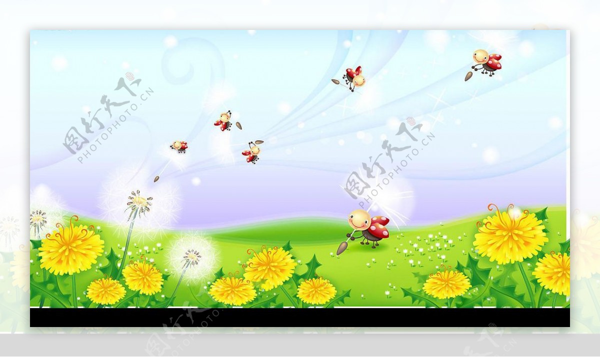春暖花开嬉戏于花丛中的小瓢虫们图片
