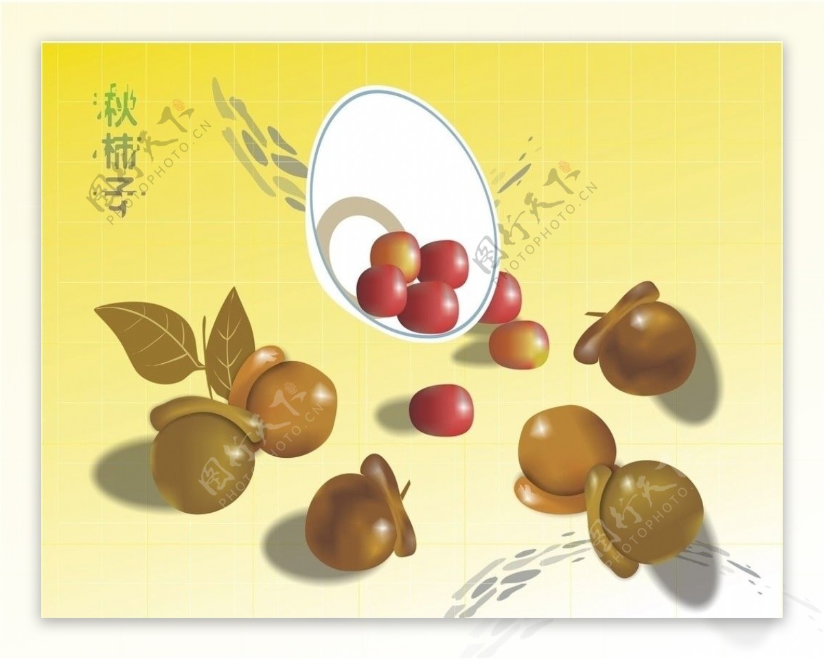 秋柿子图片