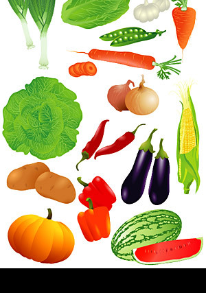 写实的蔬菜瓜果矢量素材图片