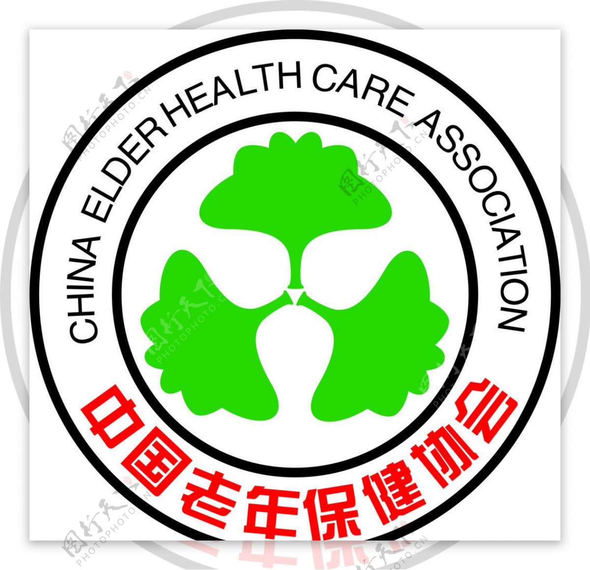 中国老年保健协会图片