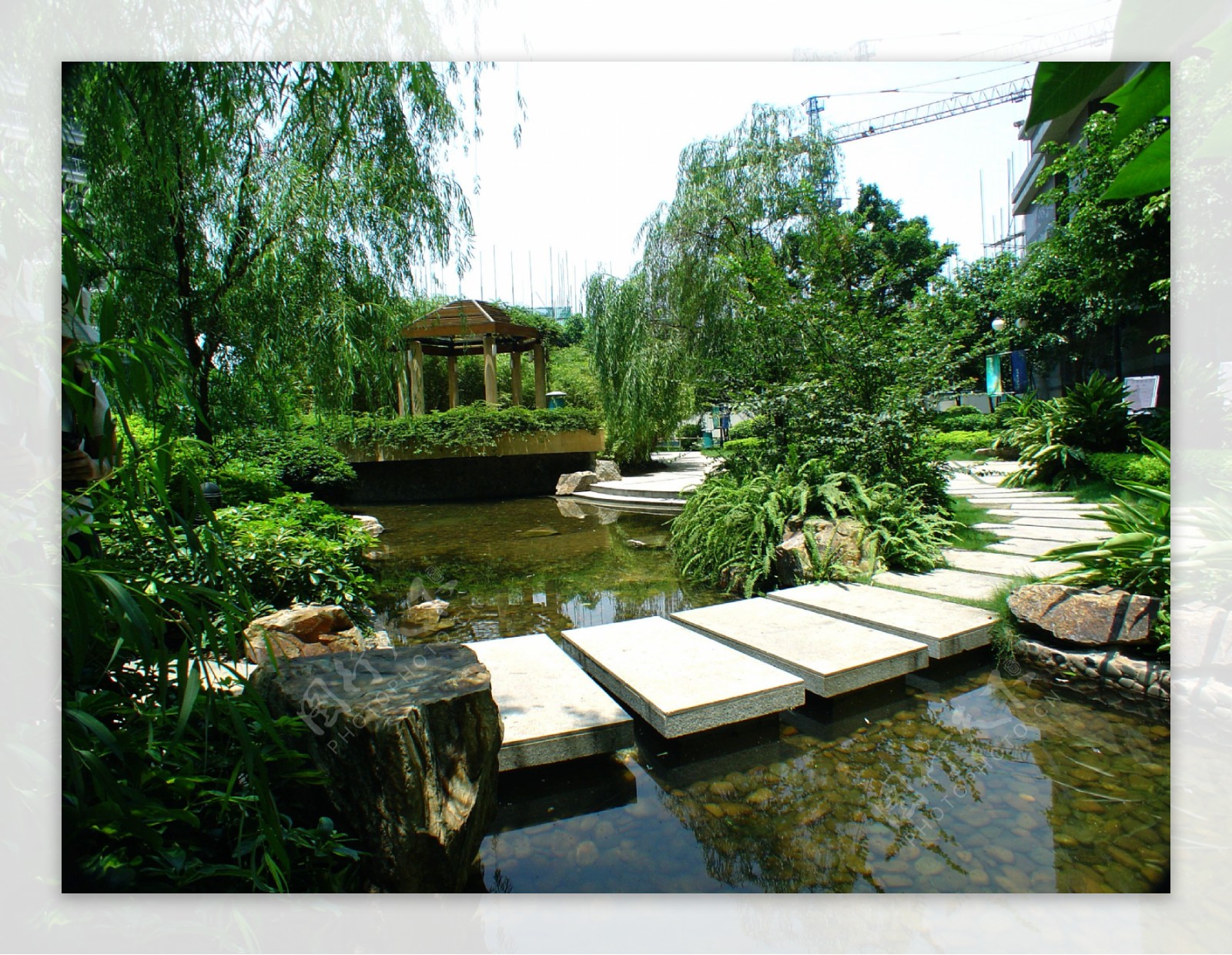 荔港南湾花园园林水景图图片