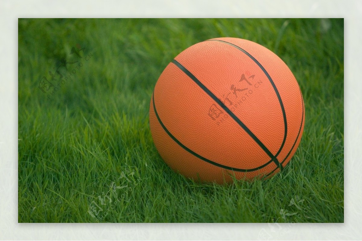 草地上的篮球图片