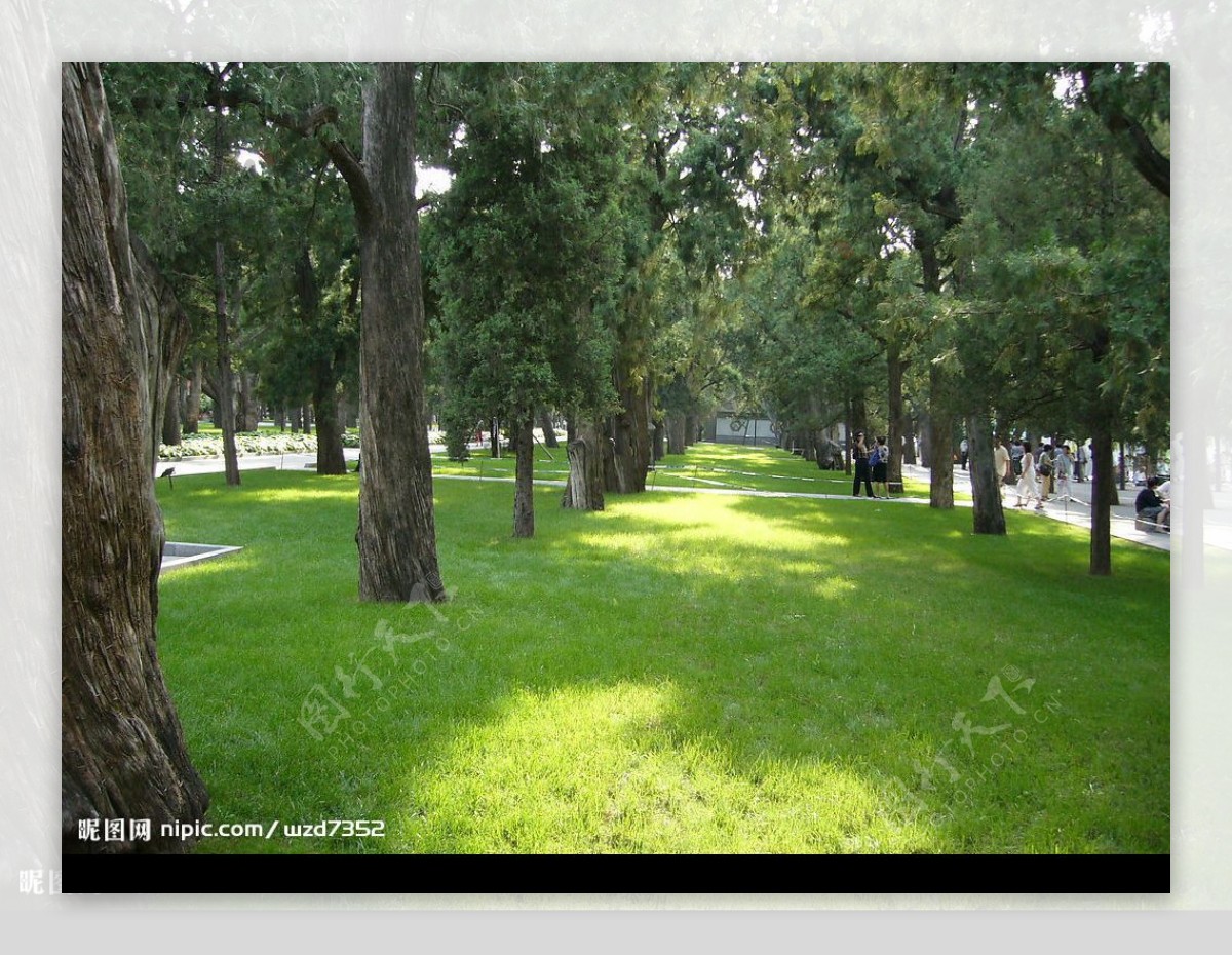 北京天坛公园的树木和绿地图片