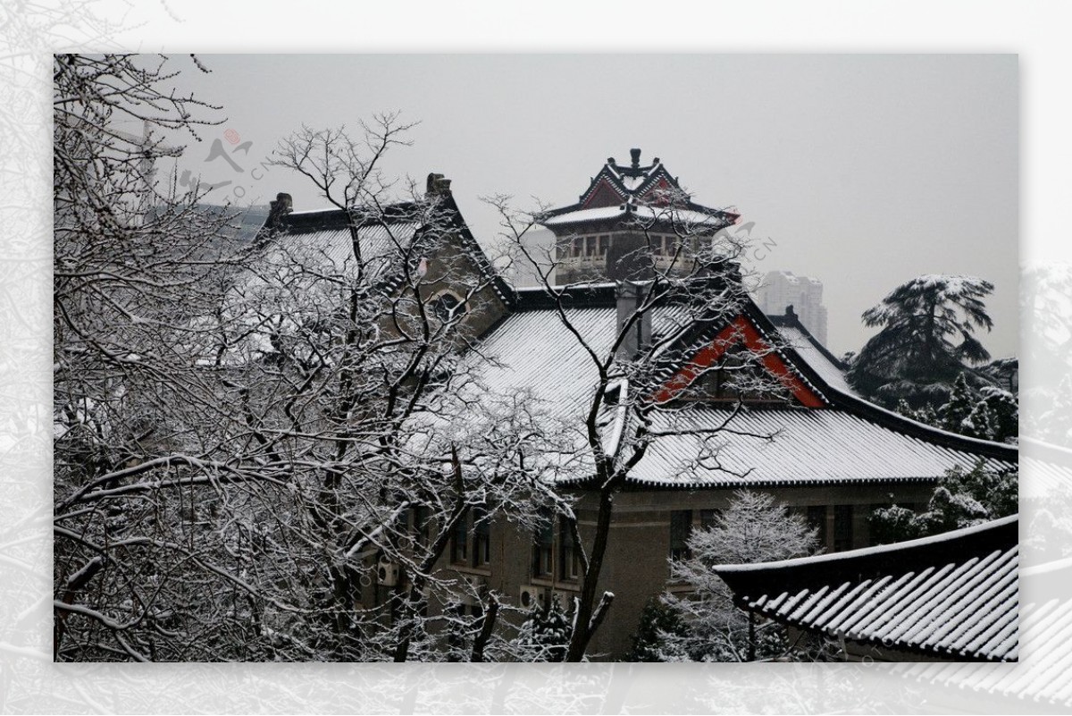 北园雪景图片