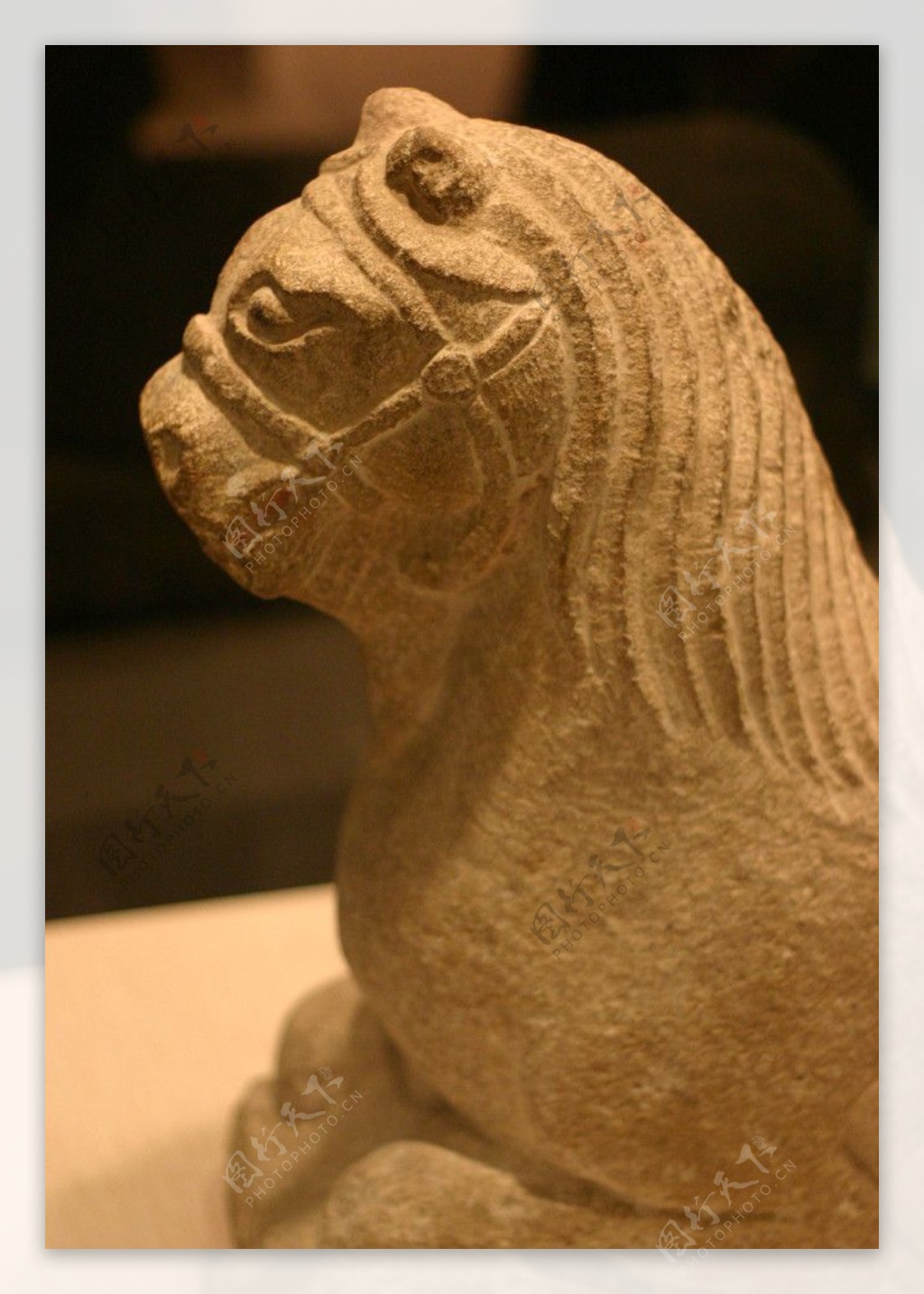 雕塑狮子动物艺术图片