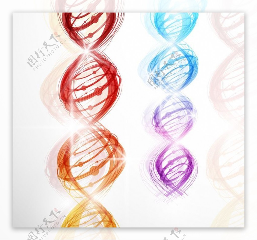 DNA遗传学遗传基因图片
