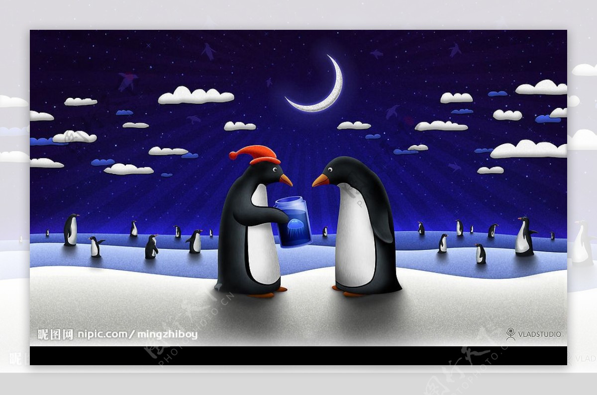 夜空下的企鹅图片