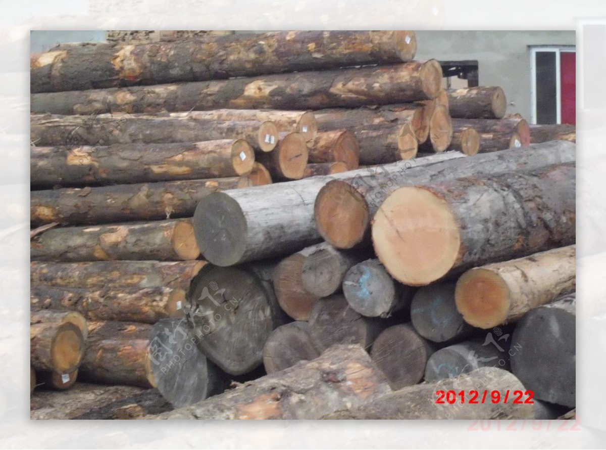 原木木材图片