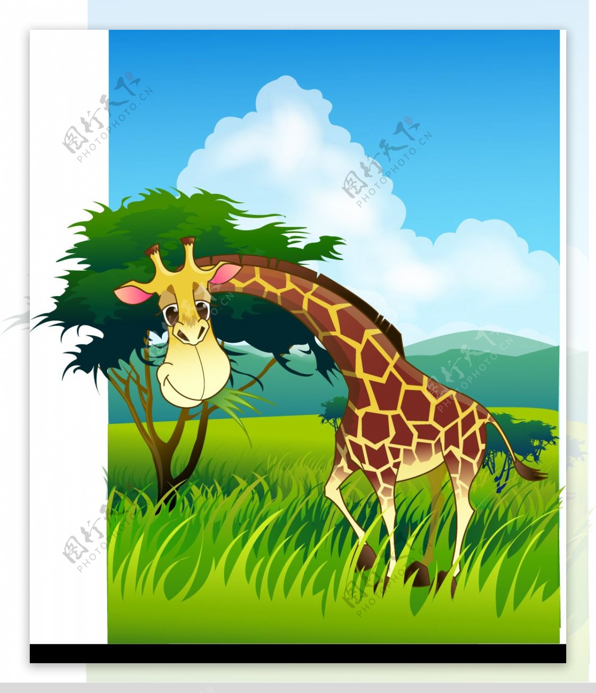 矢量写实动物长颈鹿图片