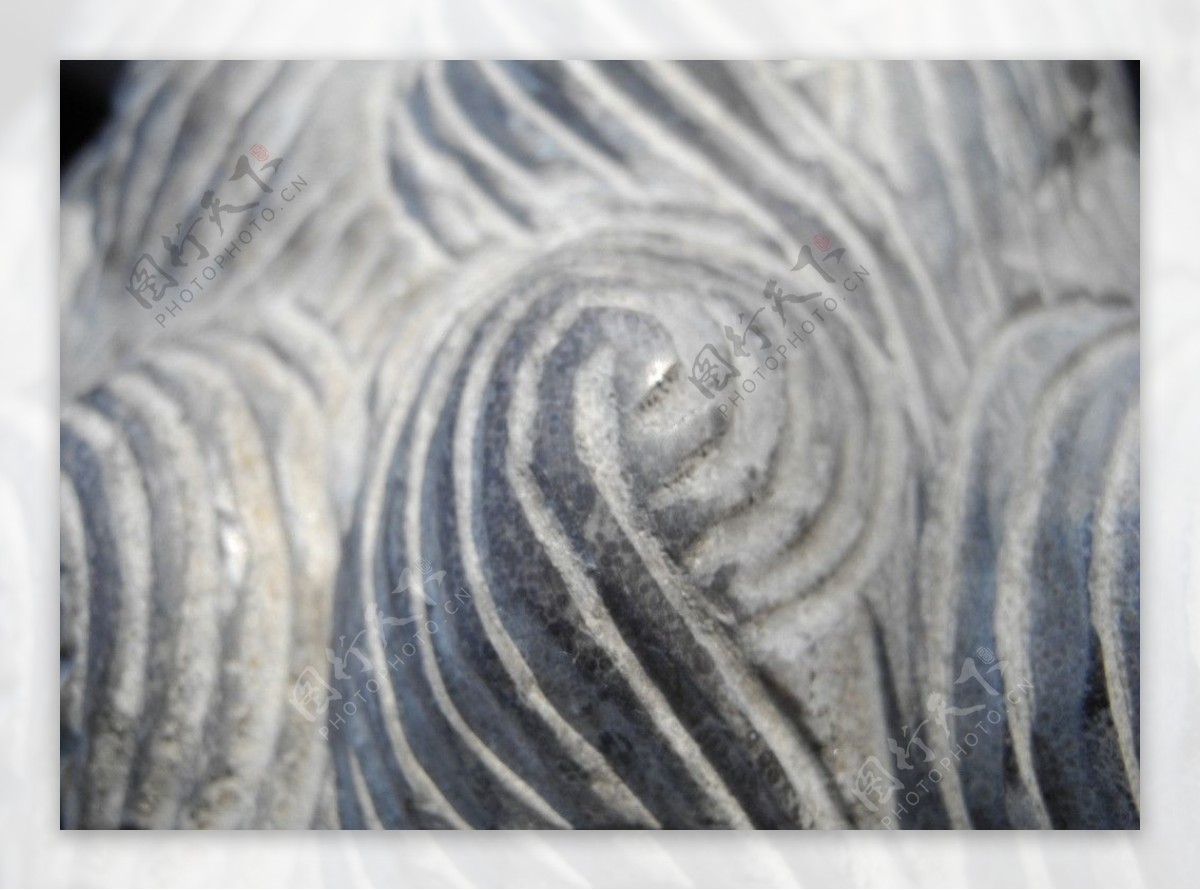 石头狮子螺旋纹图片