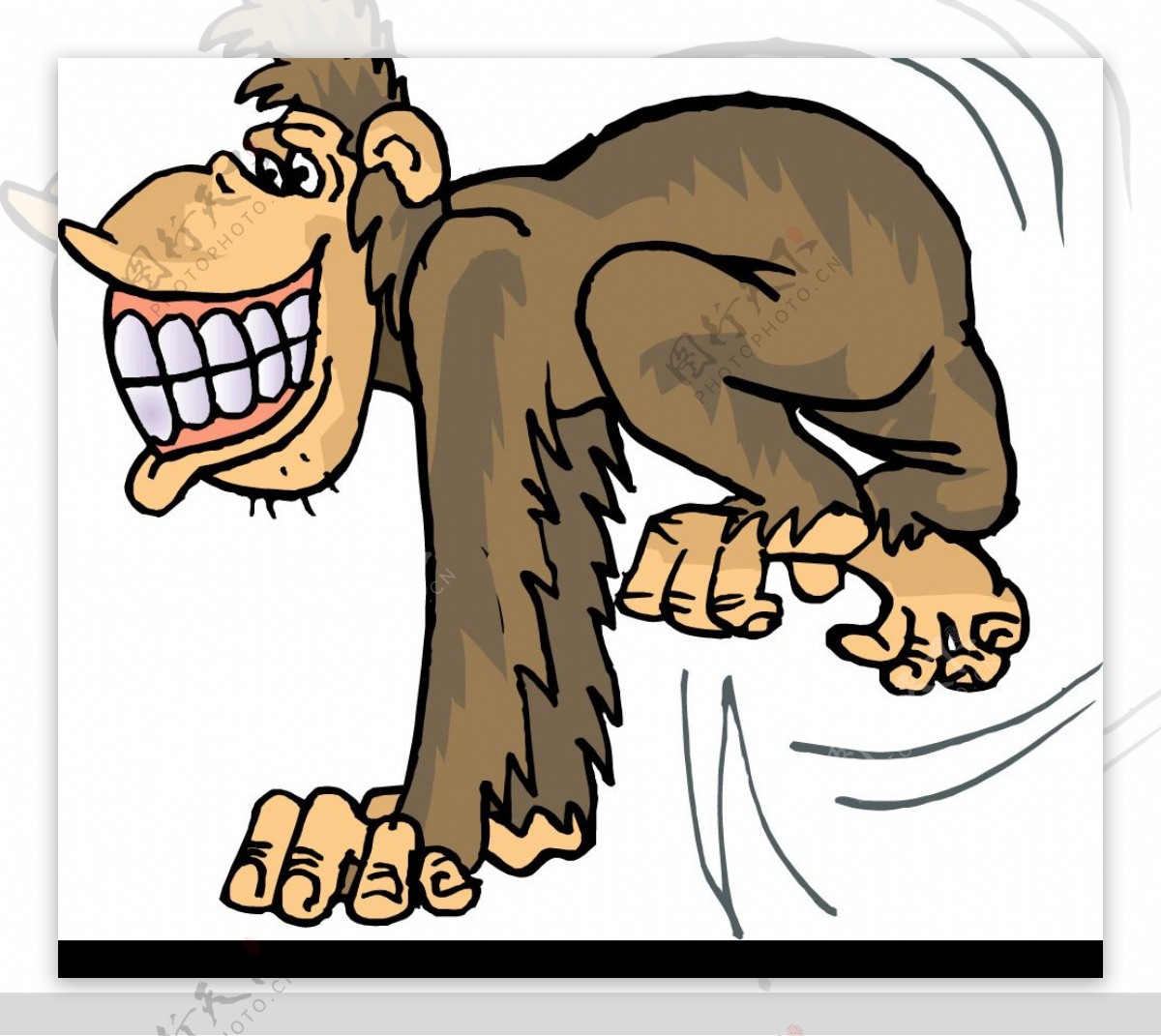 猴子卡通图图片