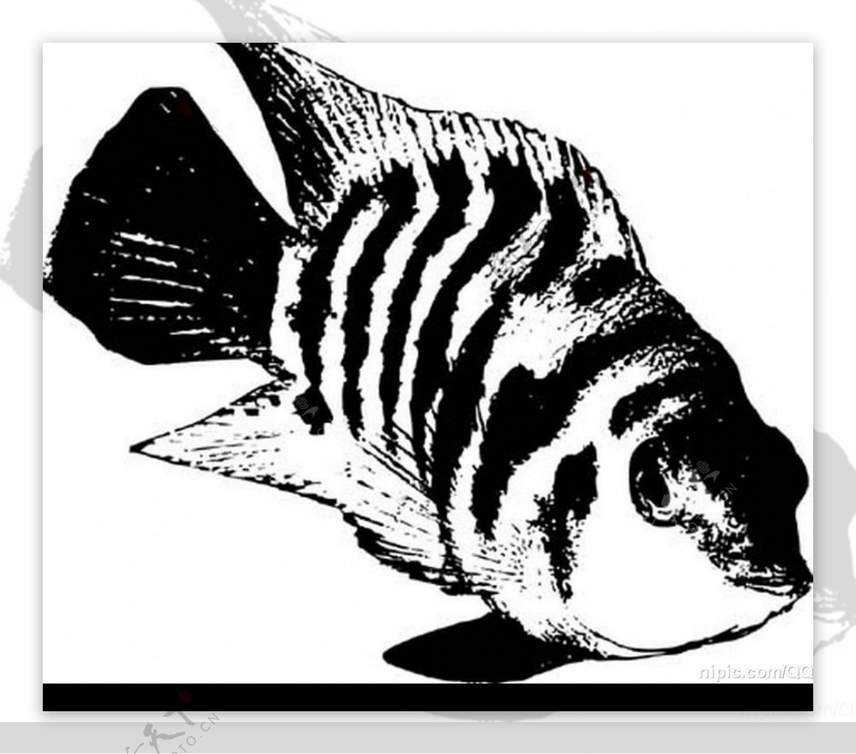 鱼的水墨画图片