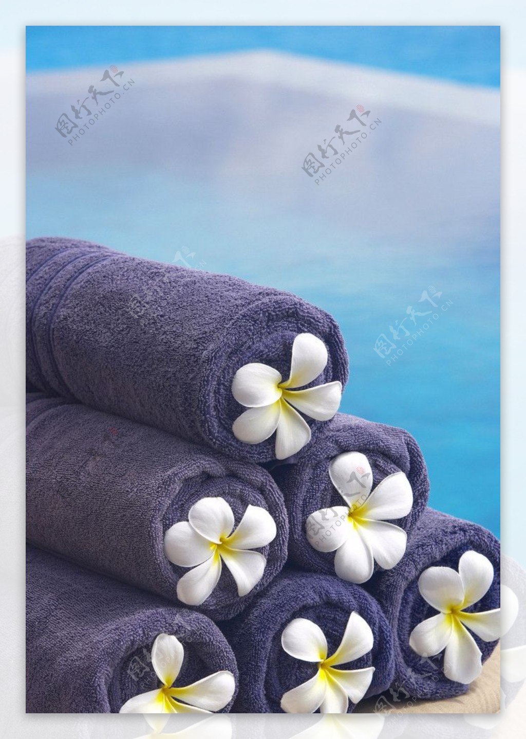 紫色毛巾图片