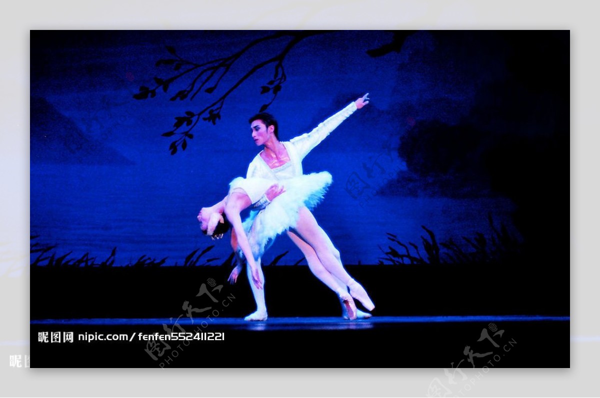 芭蕾舞天鹅湖3图片