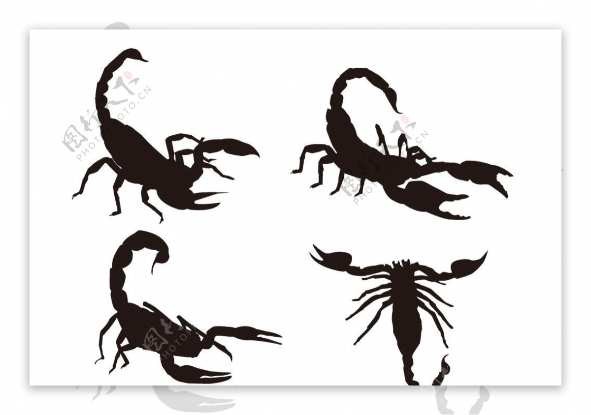 蝎子矢量图平面广告素材免费下载(图片编号:847543)-六图网