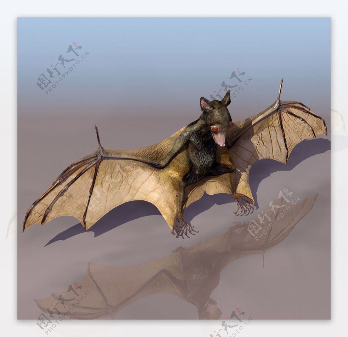 BAT蝙蝠3d模型图片