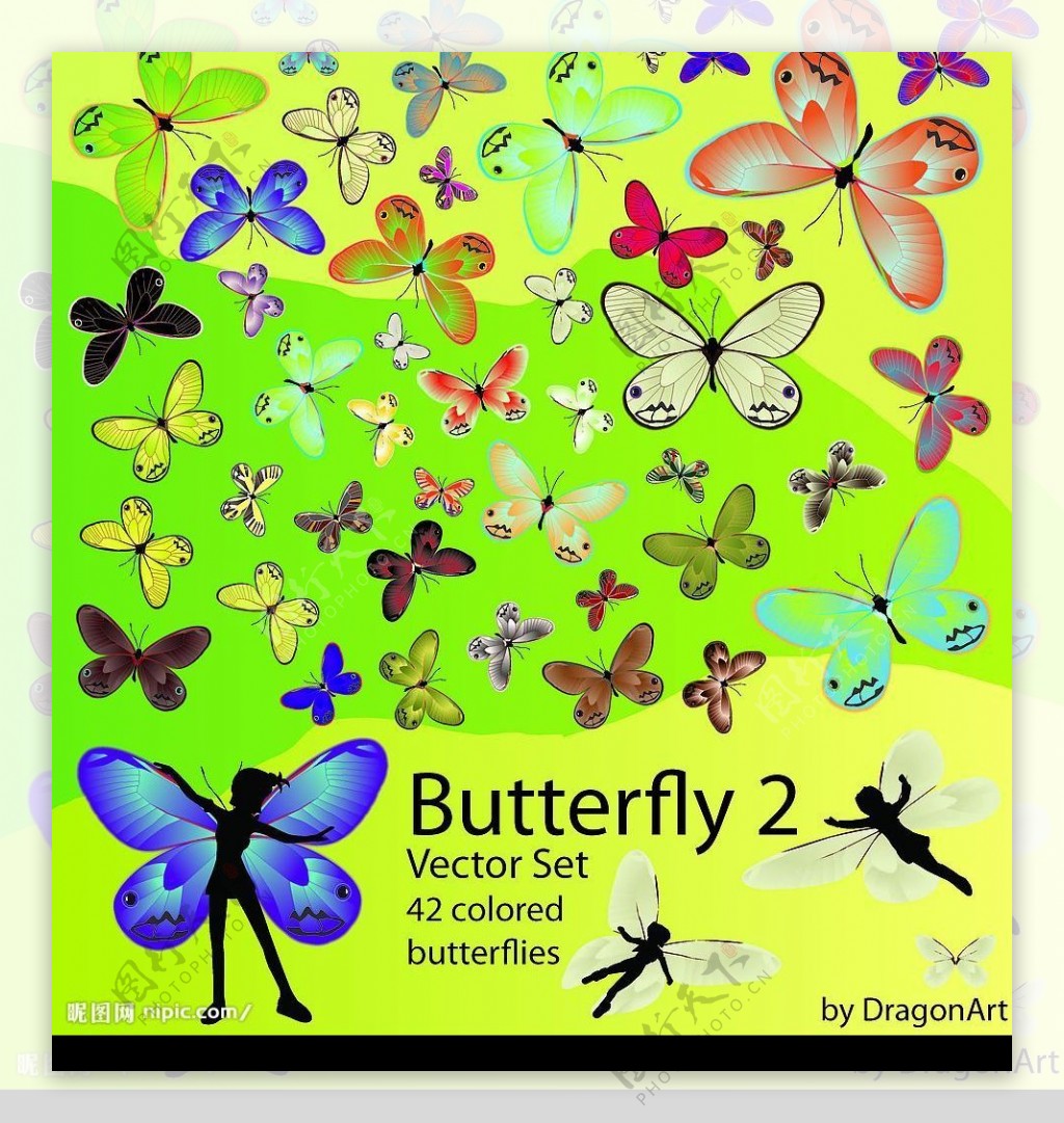 48种蝴蝶图片