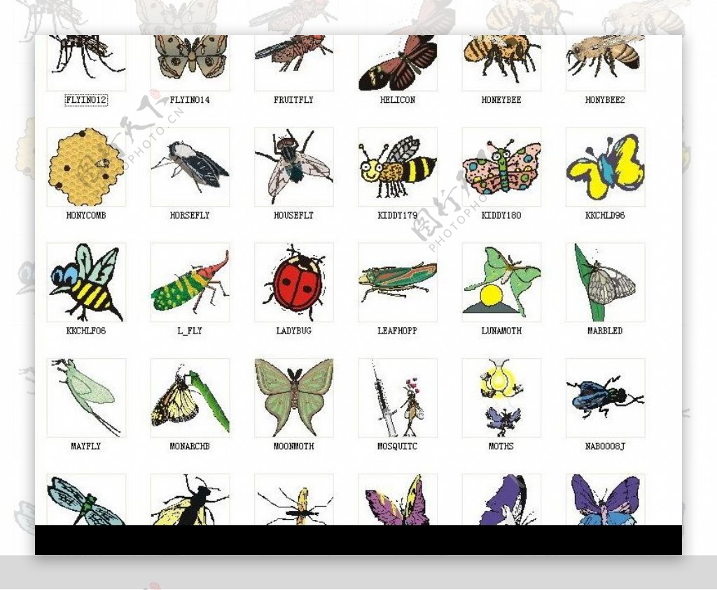 昆虫飞行类图片