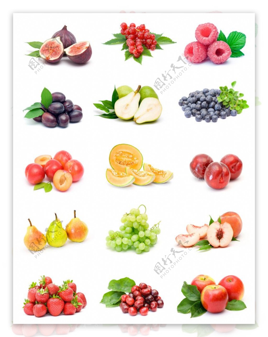 水果类图片