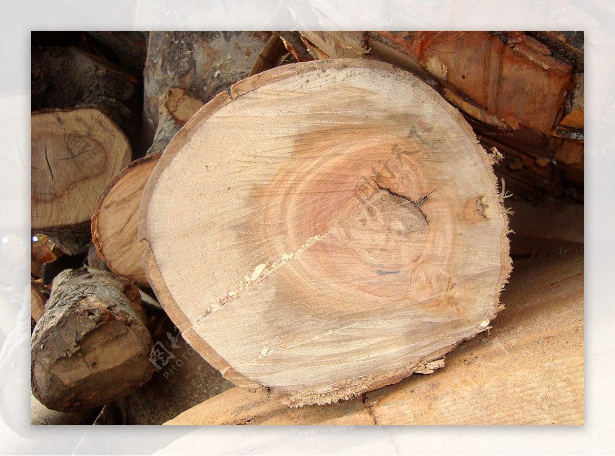 木材质木纹理木头图片