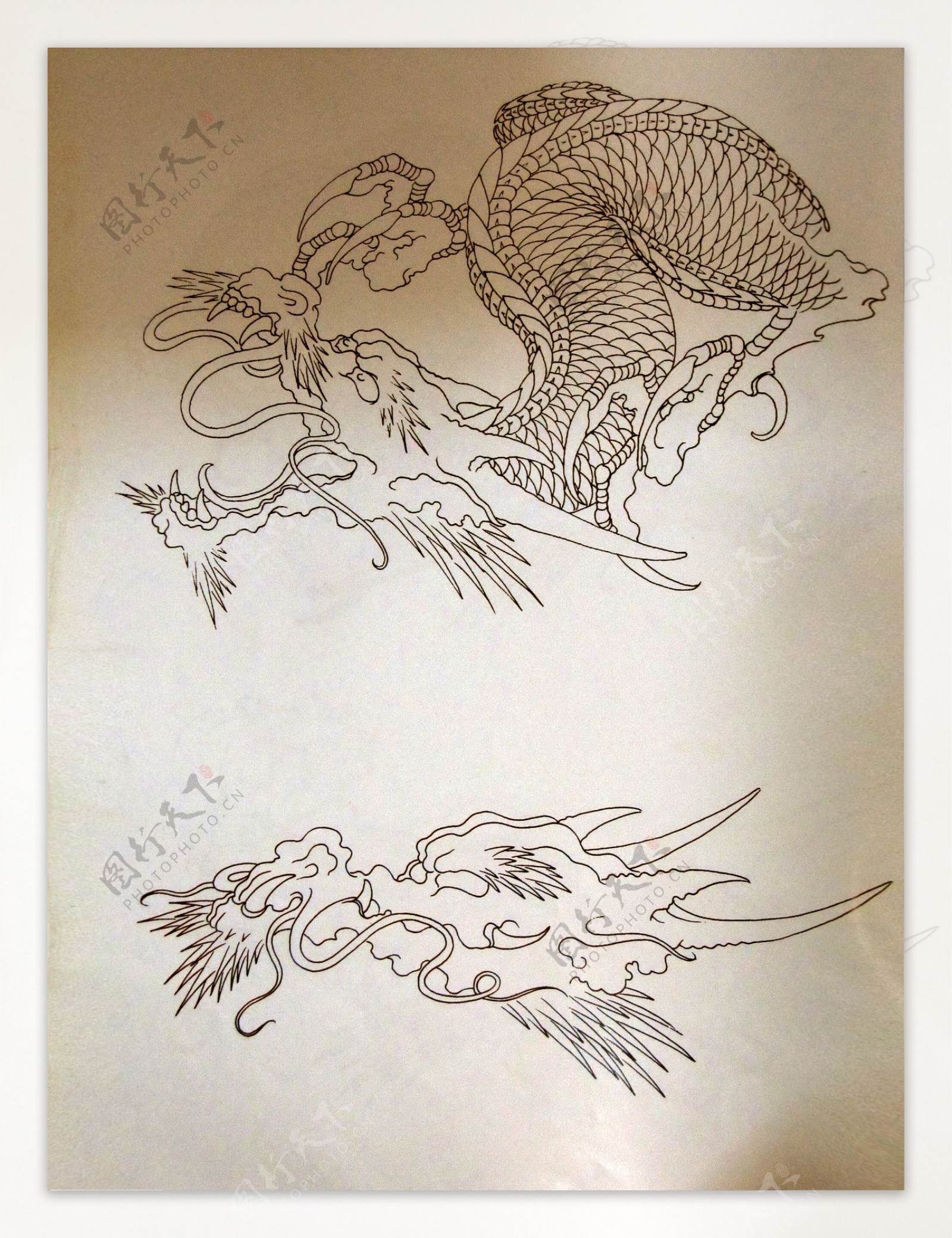 阿亮传统刺青画集飞龙线稿图片