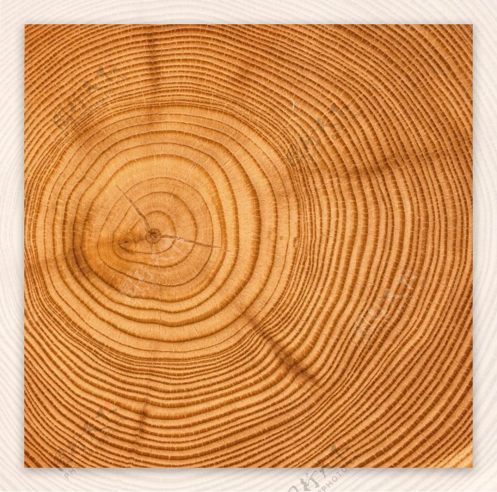 木头木纹图片