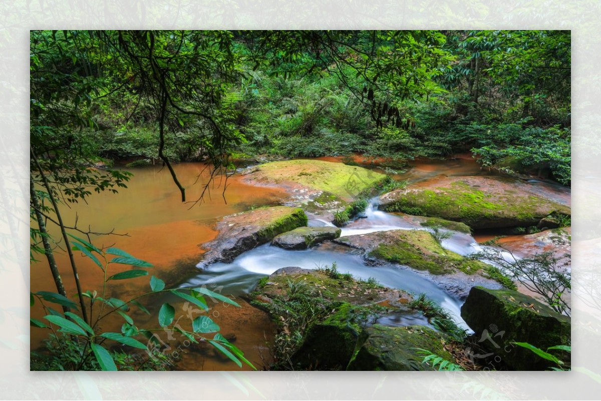 赤水四洞沟图片