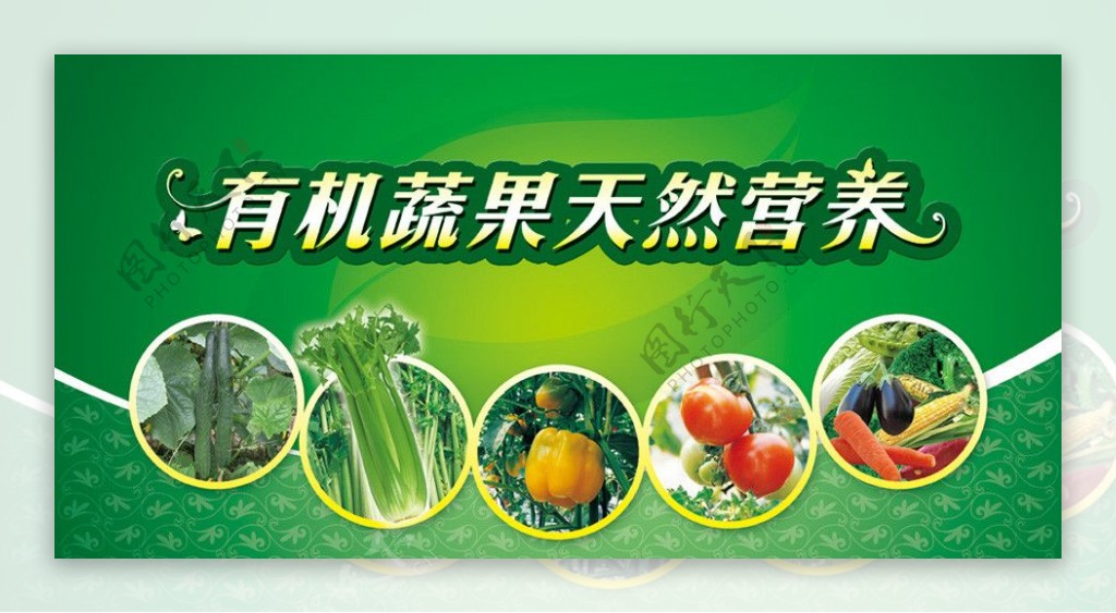 农业蔬果图片