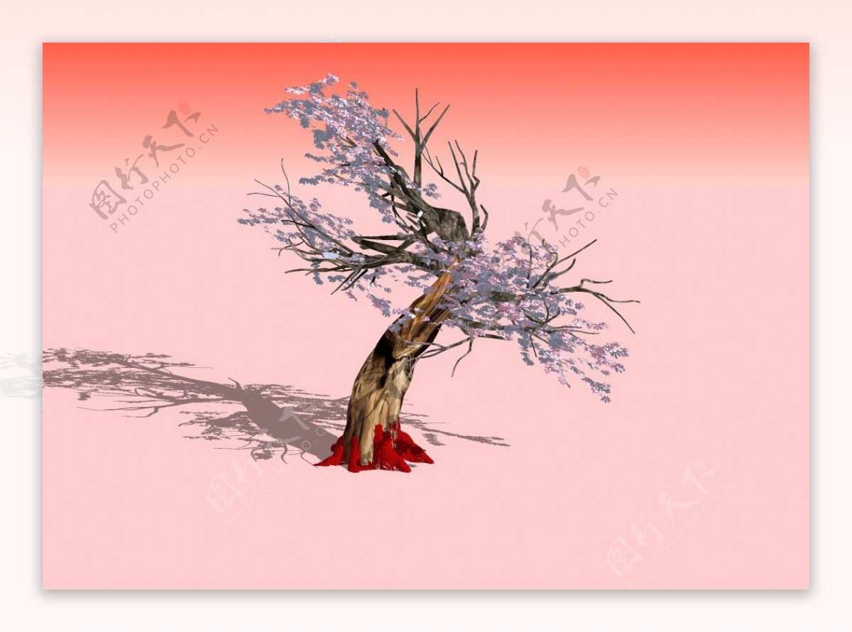 老梅树3D模型图片