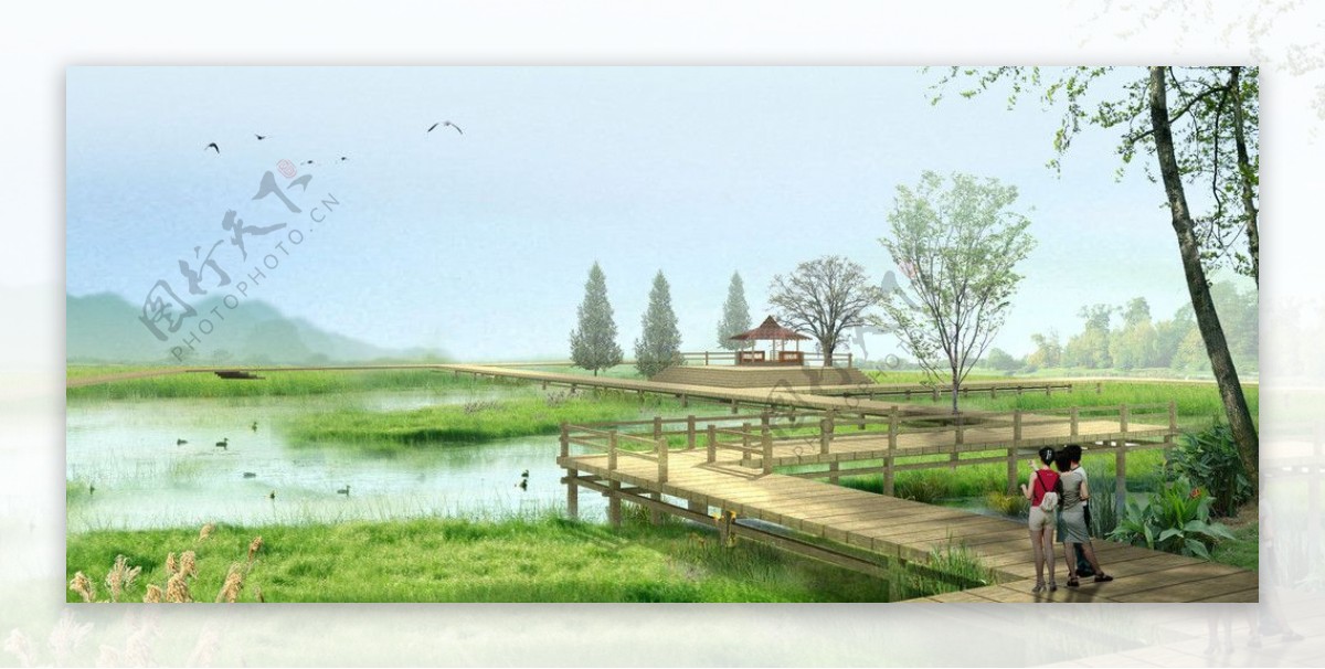 湿地景观设计图片