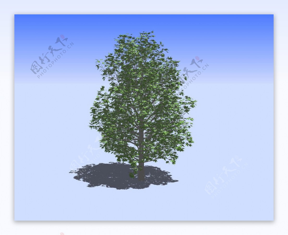 杂树精细3D模型图片