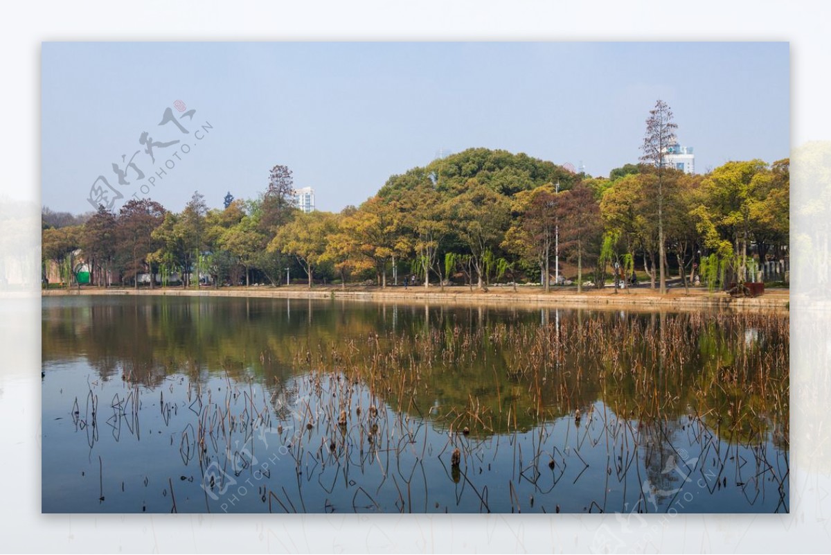 东湖风景区图片