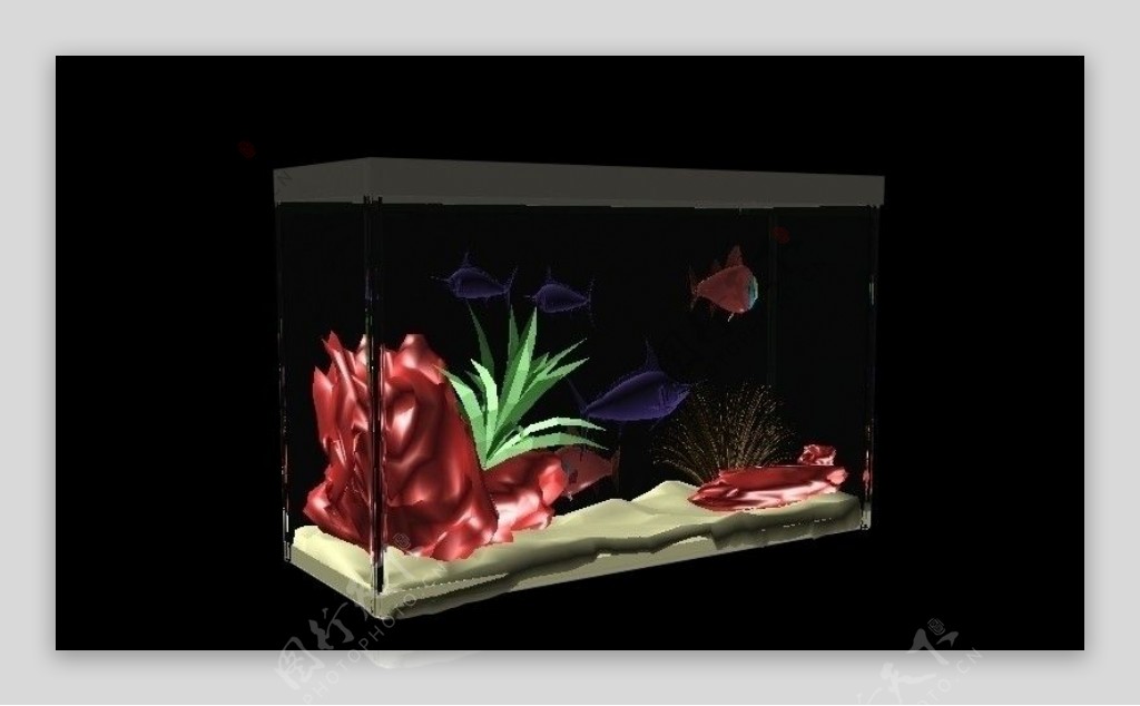 3D模型鱼缸图片