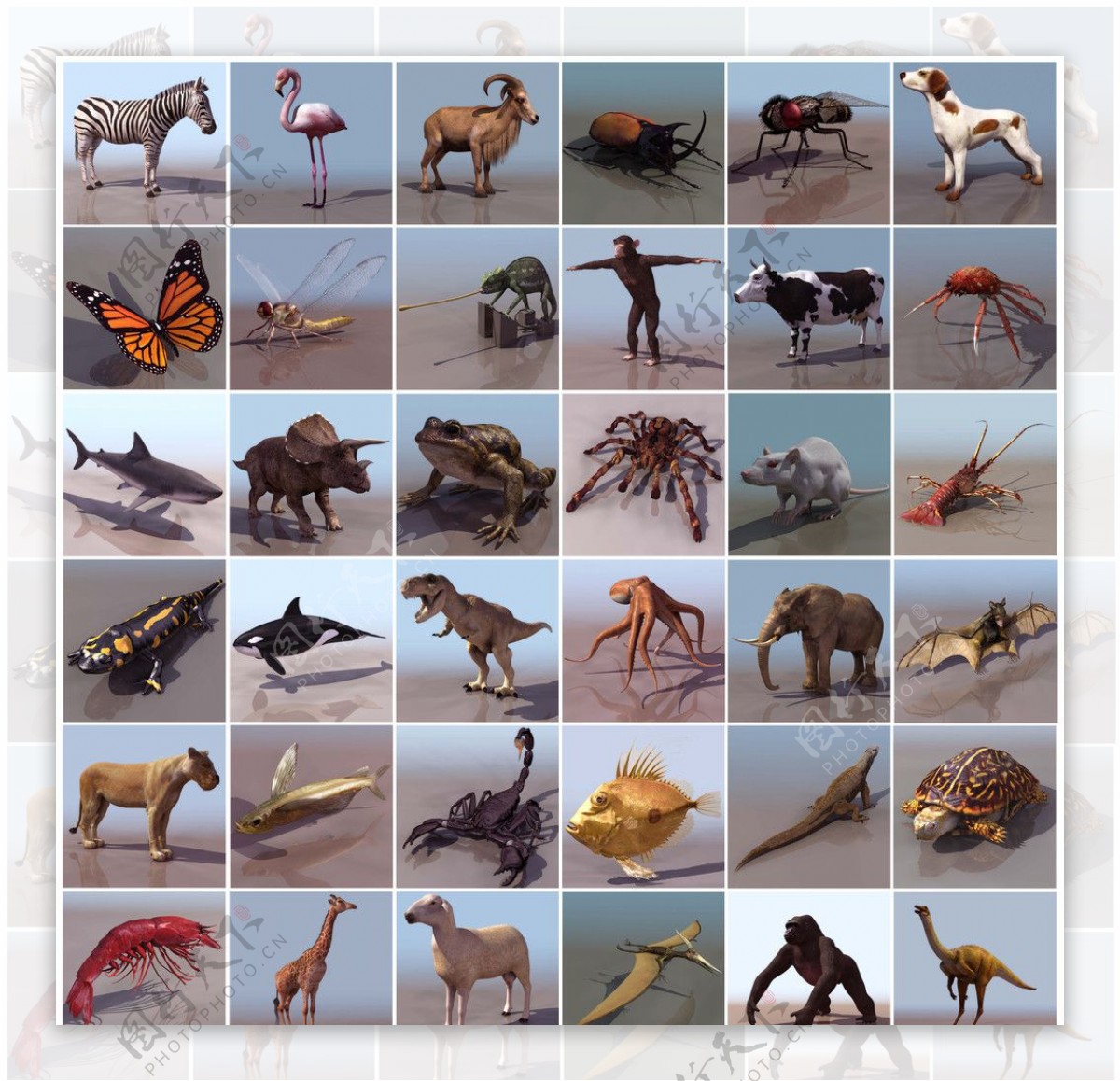 38种精美动物三维模型图片