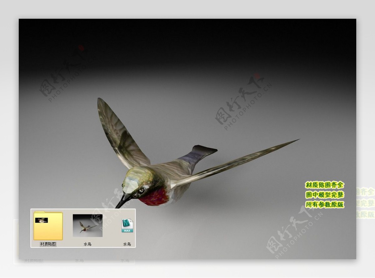 水鸟3D三维模型建模图片