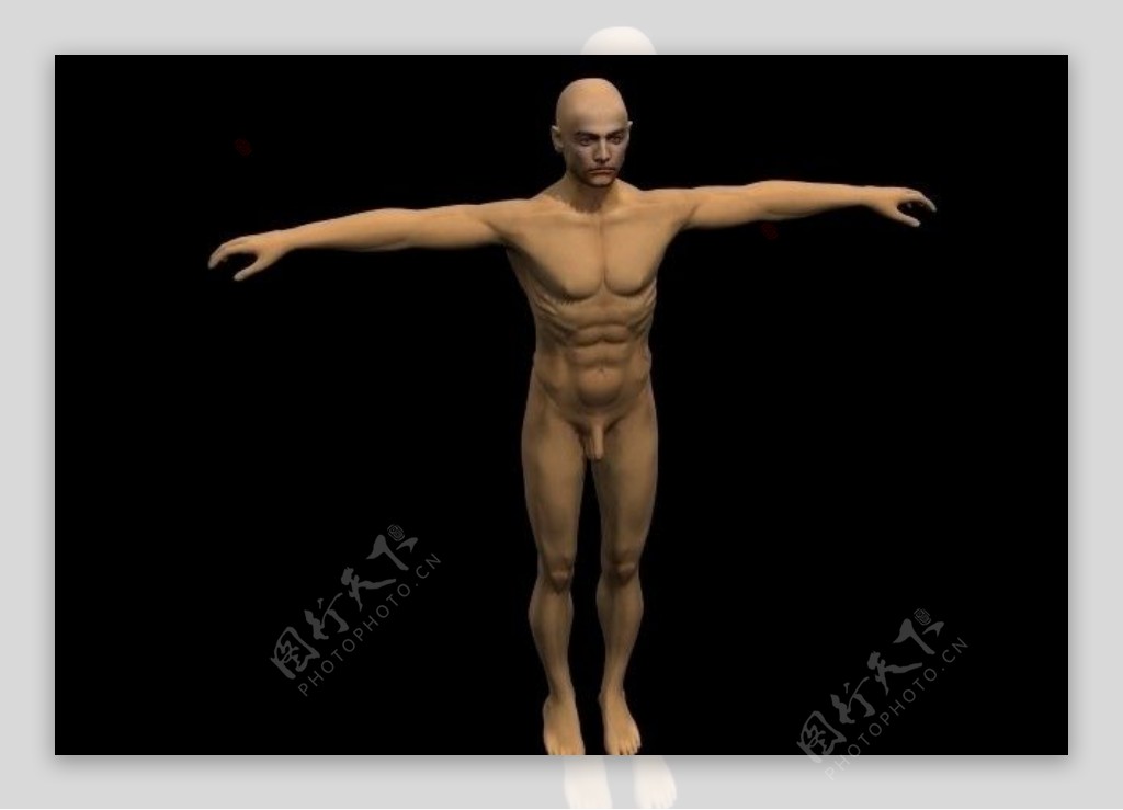 男性人体3D模型图片