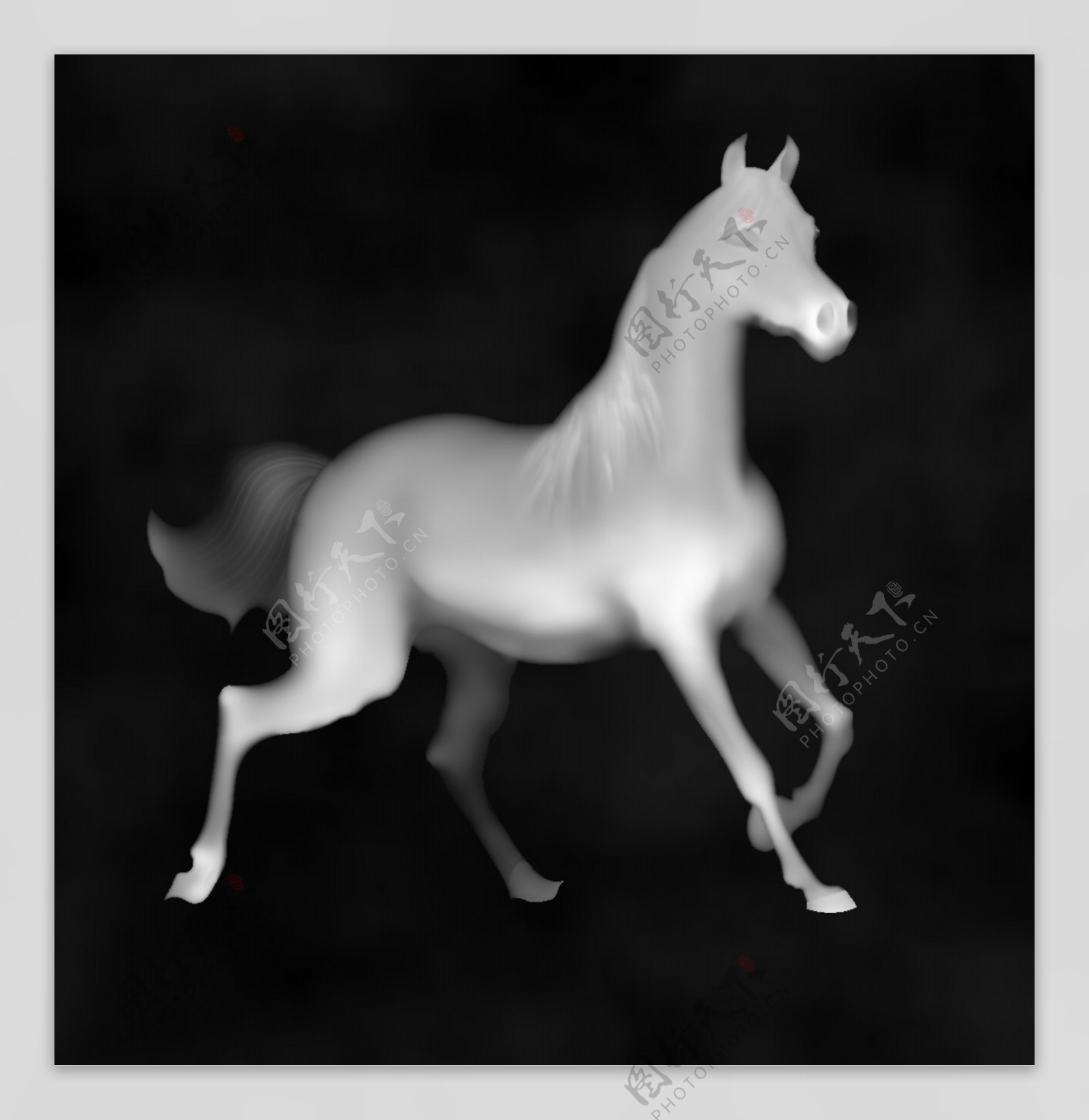 马的灰度图图片