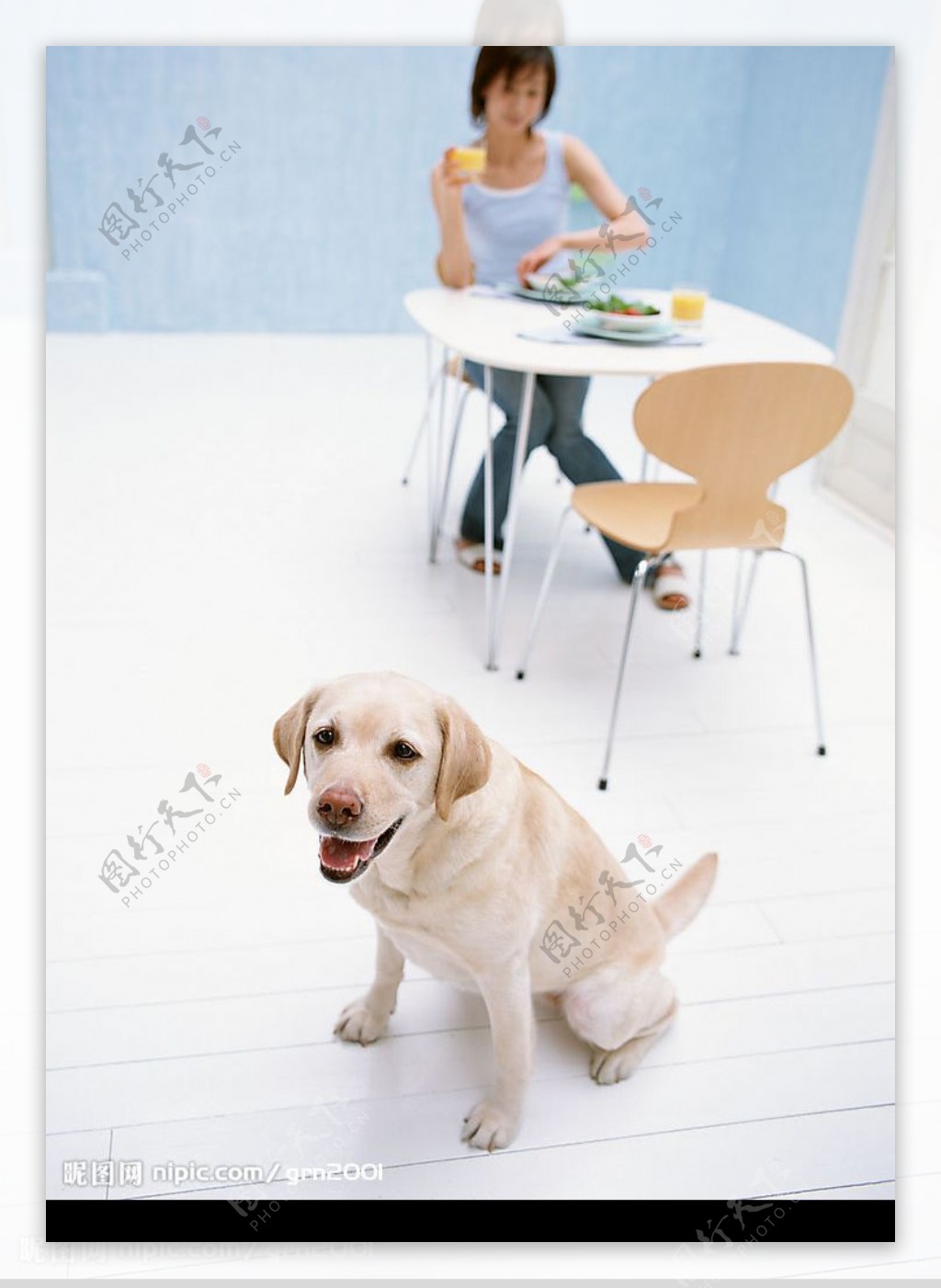 美女女人与狗玩耍图片 - 25H.NET壁纸库