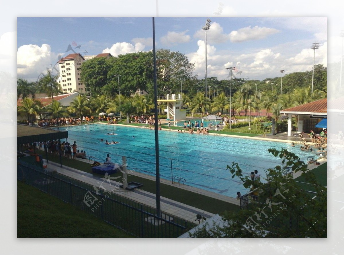 新加坡南大的游泳池图片