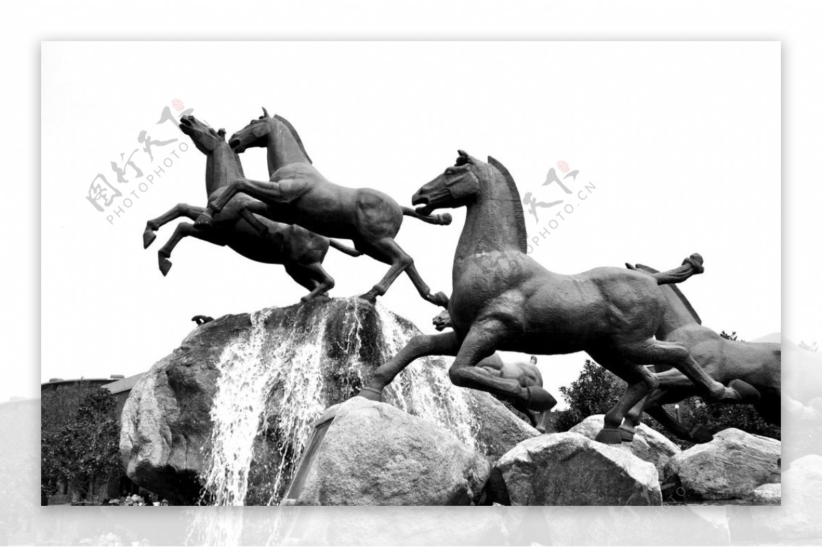 奔马群雕黑白印象图片