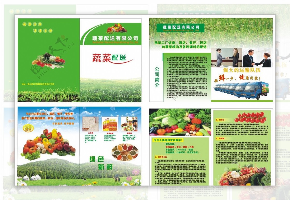 蔬菜配送宣传册图片