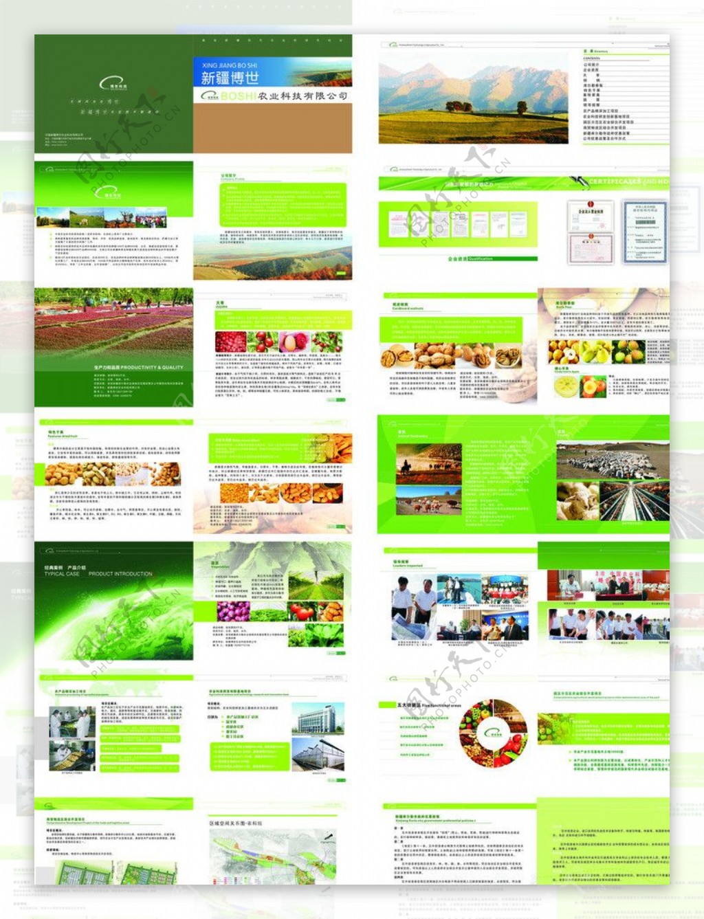 新疆博世农业科技果品画册图片