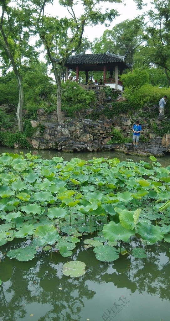 拙政园风景图片